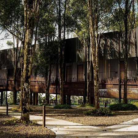 Teras Hotel Ijen Banyuwangi Banyuwangi  Exterior foto