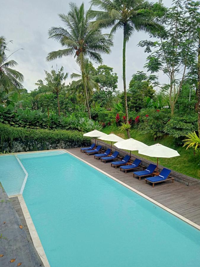 Teras Hotel Ijen Banyuwangi Banyuwangi  Exterior foto